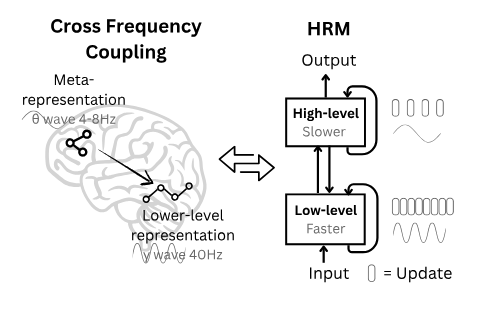 HRM Brain